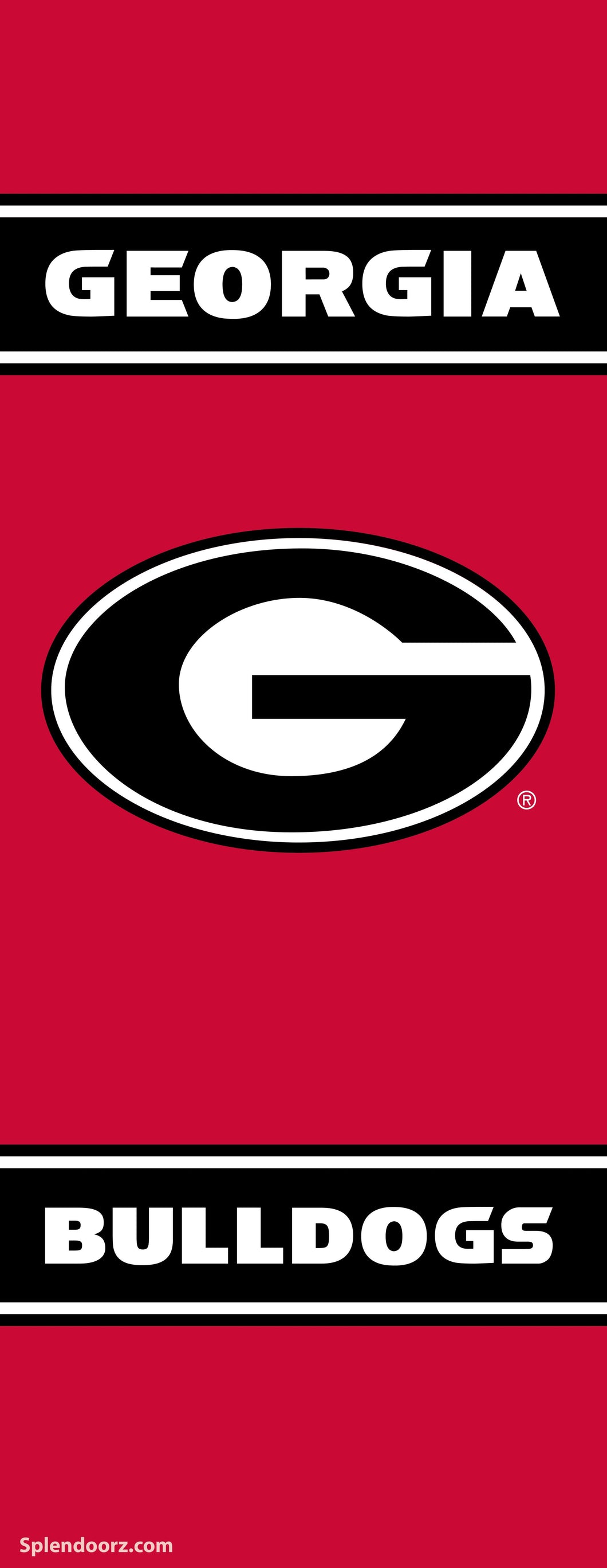 Georgia Bulldogs